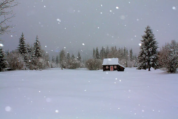 Ett Majestätiskt Vinterlandskap Med Ett Litet Lantligt Trähus Omgivet Snötäckta — Stockfoto