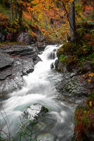 Een Verticaal Uitzicht Een Waterval Beekje Omringd Door Rotsen Herfst — Stockfoto