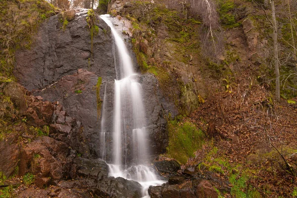 Gros Plan Une Cascade Dans Forêt — Photo