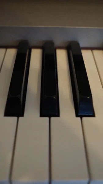 Вертикальний Знімок Клавіш Піаніно — стокове фото