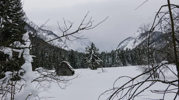 雪地里的木制小屋景观 — 图库照片