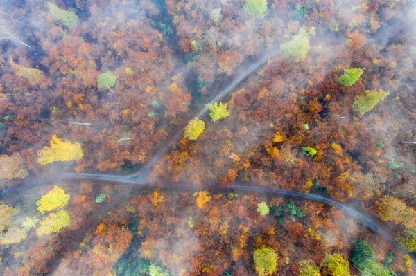 Μια Εναέρια Άποψη Κορυφή Του Δρόμου Μέσα Από Πολύχρωμο Φθινόπωρο — Φωτογραφία Αρχείου