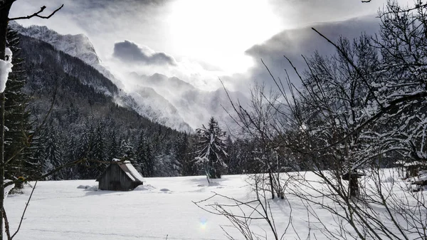 Uma Paisagem Cabine Madeira Campo Nevado — Fotografia de Stock