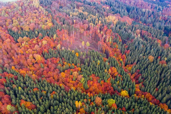 Droneview Cabeça Para Baixo Árvores Florestais Outono Vale Remstal Alemanha — Fotografia de Stock