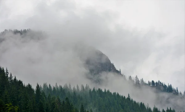 Majestätisk Utsikt Över Tät Trädbevuxen Bergssluttning Omgiven Lågt Flygande Moln — Stockfoto