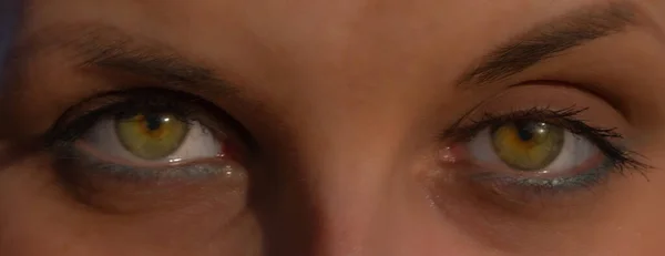 若い女性の美しい緑の目のパノラマショット — ストック写真