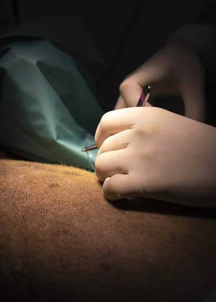 Doktorların Karanlık Odada Ameliyat Yaparken Çekilmiş Dikey Bir Fotoğrafı — Stok fotoğraf