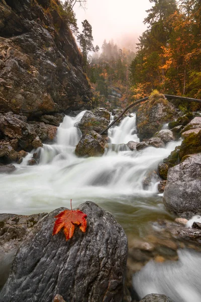 Een Verticaal Uitzicht Een Waterval Beekje Omringd Door Rotsen Herfst — Stockfoto