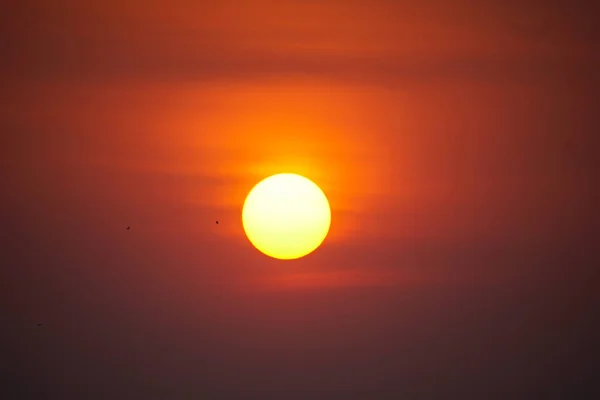 Soleil Lors Beau Coucher Soleil Rouge Dans Soirée Parfait Pour — Photo