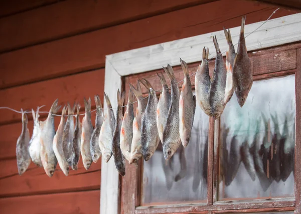 Tiro Close Peixe Seco Pendurado — Fotografia de Stock