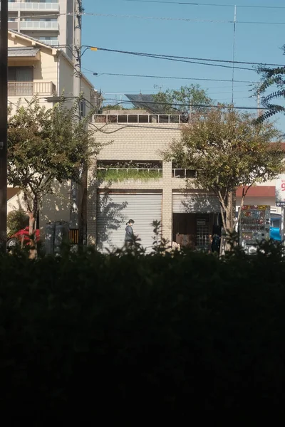 Vertical Shot City Street Lots Plants — Stock Photo, Image