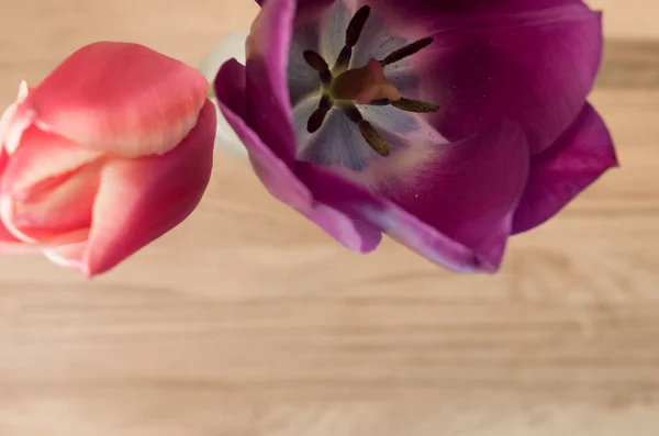 Een Zachte Focus Van Tulpenbloemen Tegen Een Wazige Houten Tafel — Stockfoto