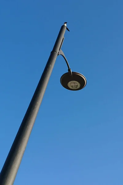 Eine Flache Aufnahme Einer Straßenlaterne Unter Dem Sonnenlicht Und Blauem — Stockfoto