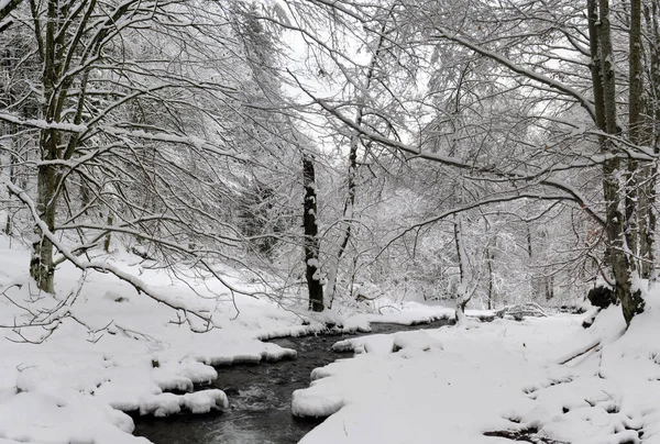 Paysage Hivernal Incroyable Avec Petit Ruisseau Eau Qui Coule Travers — Photo