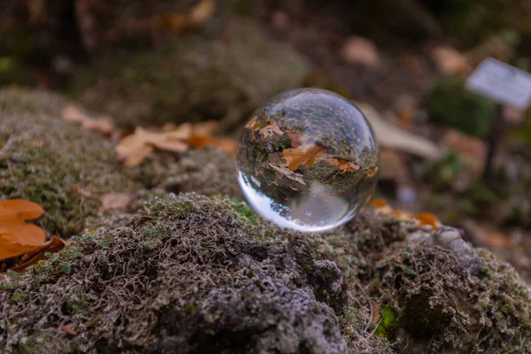 Selektiv Fokusbild Rund Transparent Boll Som Reflekterar Löv Och Träd — Stockfoto