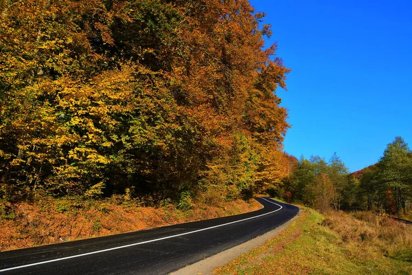 Gros Plan Une Route Douce Campagne Nature Automnale Feuillage Coloré — Photo