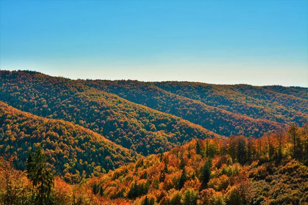 아름다운 언덕들과 형형색색의 나무들의 가을의 — 스톡 사진