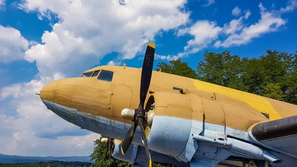 Metlika Eslovenia Julio 2018 Avión Segunda Guerra Mundial Colores Camuflaje —  Fotos de Stock