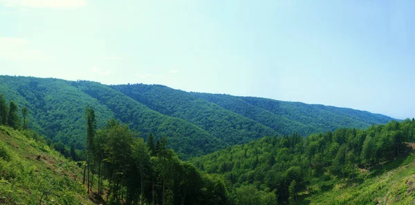 Plano Hermosos Paisajes Verdes Con Pintorescas Colinas Bosques — Foto de Stock