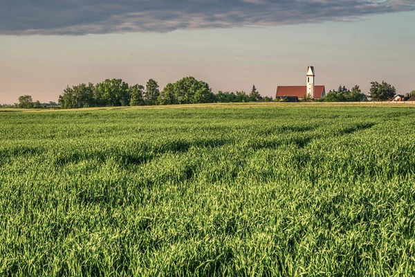 Strzał Greenfield Kościołem Tle Drzew — Zdjęcie stockowe