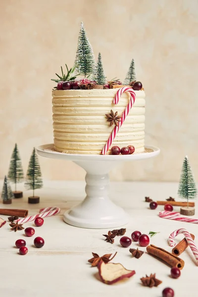 Вертикальный Снимок Красиво Украшенного Рождественского Торта — стоковое фото