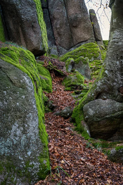 Colpo Verticale Enormi Rocce Ricoperte Muschio Nella Foresta Nera Germania — Foto Stock