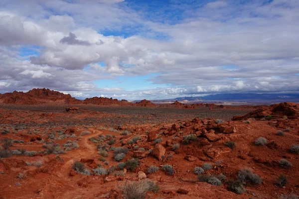 Beau Paysage Célèbre Vallée Feu State Park Moapa États Unis — Photo