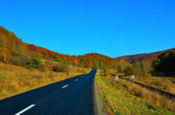 Uma Estrada Cercada Por Belas Árvores Outono Sob Céu Azul — Fotografia de Stock