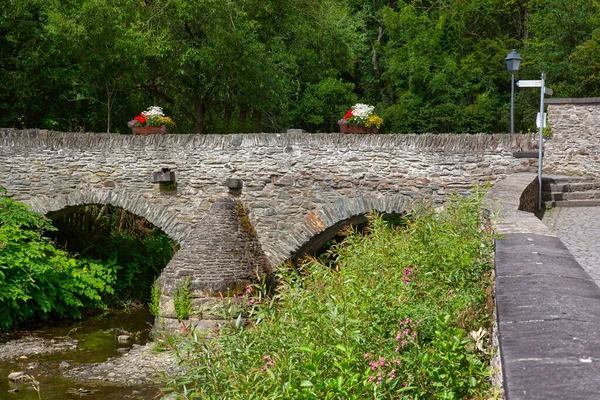 Ponte Medievale Nell Antico Villaggio Tedesco Monreal Renania Palatinato — Foto Stock