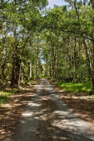 Szlak Rowerowy Eurovelo Który Biegnie Wzdłuż Plaży Morza Bałtyckiego Pobliżu — Zdjęcie stockowe