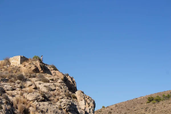 Une Jeune Femme Aventureuse Debout Sur Falaise Rocheuse Admirant Vue — Photo