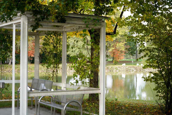 Gros Plan Belvédère Près Étang Avec Des Feuilles Automne Sur — Photo