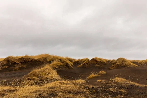 Sand Dunes Yellow Grass Beach South Iceland — Stock Photo, Image