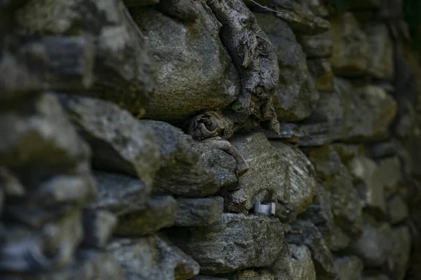 Eine Selektive Fokusaufnahme Von Felsen Vielen Größen — Stockfoto