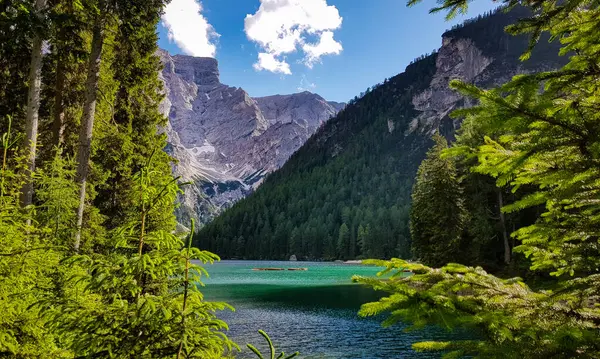 Uma Vista Parque Fanes Sennes Braies Mareo Itália — Fotografia de Stock