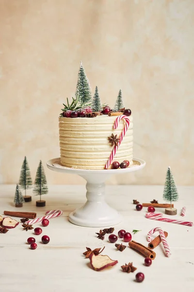 Vertical Shot Christmas Cake Decorated Trees Berries Cinnamon — Stock Photo, Image