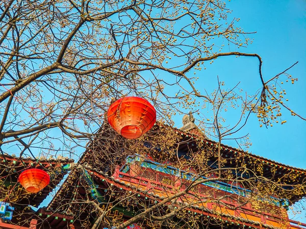 Una Hermosa Foto Árbol Sakura Decorado Cerca Templo — Foto de Stock