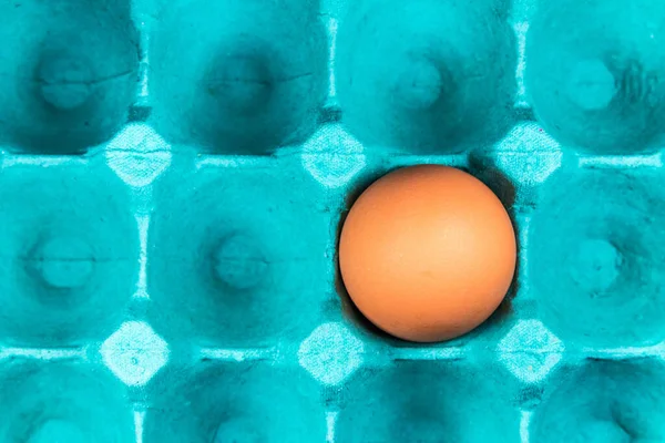 Closeup Shot Brown Egg Blue Cardboard — Stock Photo, Image