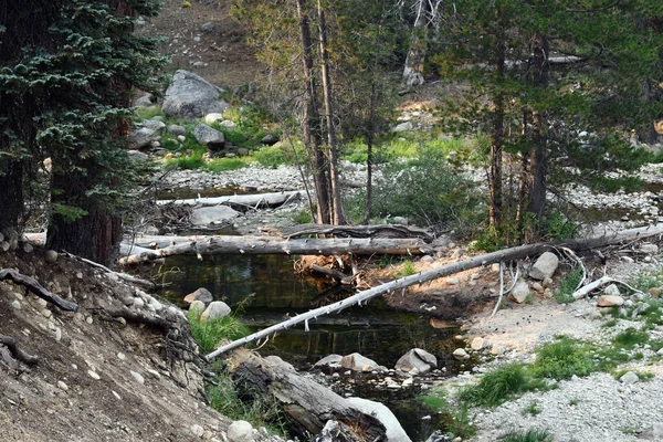 Неглибока Річка Камінням Впали Стовбури — стокове фото