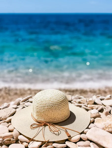 Eine Vertikale Selektive Fokusaufnahme Eines Seemützes Auf Kieselsteinen Strand — Stockfoto