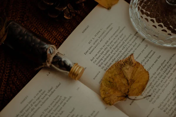 Nahaufnahme Einer Herbstlichen Dekoration Mit Blättern Und Kaffeebohnen — Stockfoto