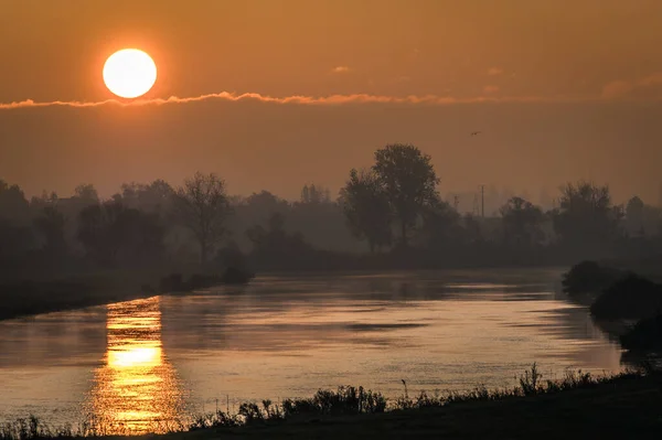 Puesta Sol Cerca Del Mar Bosque —  Fotos de Stock