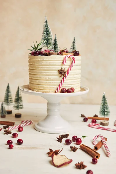 Вертикальный Крупный План Красивого Рождественского Торта Украшениями — стоковое фото