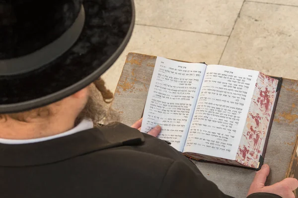 Hombre Judío Leyendo Torá Israel —  Fotos de Stock