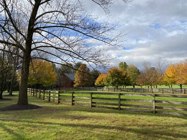 Fenced Backyard Colorful Trees House — Stock Photo, Image