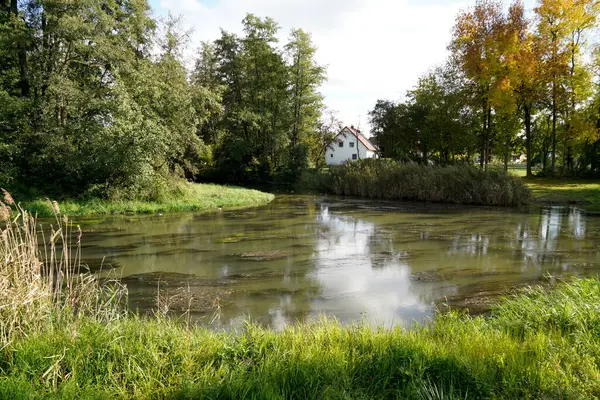 Parque Verde Com Uma Lagoa — Fotografia de Stock