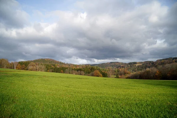 田園地帯の風景や秋の木々のクローズアップ — ストック写真