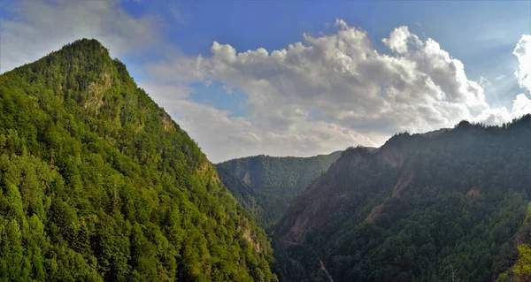 Uma Bela Paisagem Chuvosa Sobre Florestas Fagaras Montanhas Romênia — Fotografia de Stock