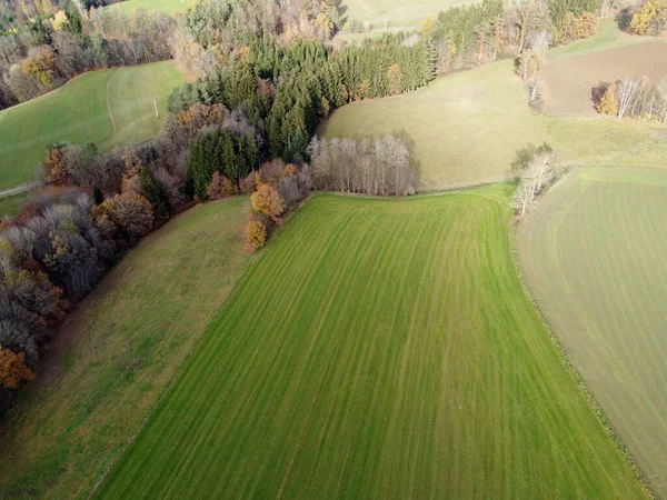 Αεροφωτογραφία Ενός Αγροτικού Τοπίου Και Πολύχρωμα Φθινοπωρινά Δέντρα — Φωτογραφία Αρχείου