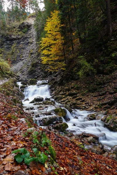 Una Toma Vertical Arroyo Salvaje Con Larga Exposición Los Alpes —  Fotos de Stock